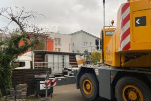 BTS-Schultz_Galerie-1 BTS-Schultz_Galerie-1